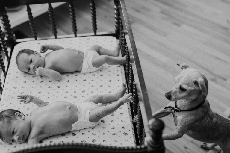 baby photographer portland or