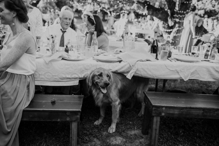 candid wedding photographer Portland