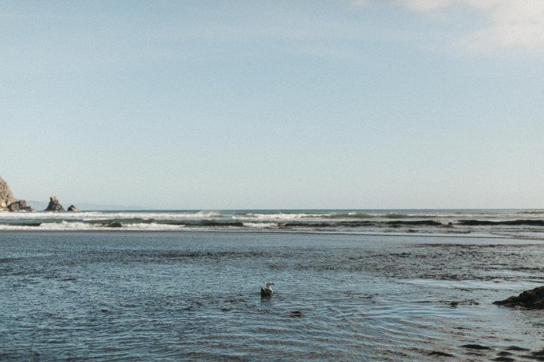 family photographer Portland OR