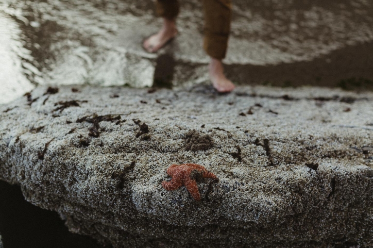 family photographer Portland OR