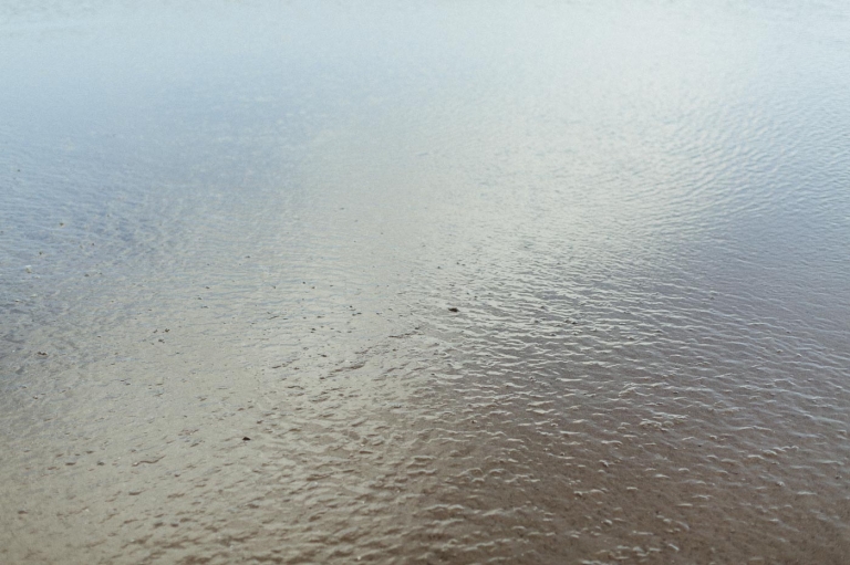 family photographer Portland OR