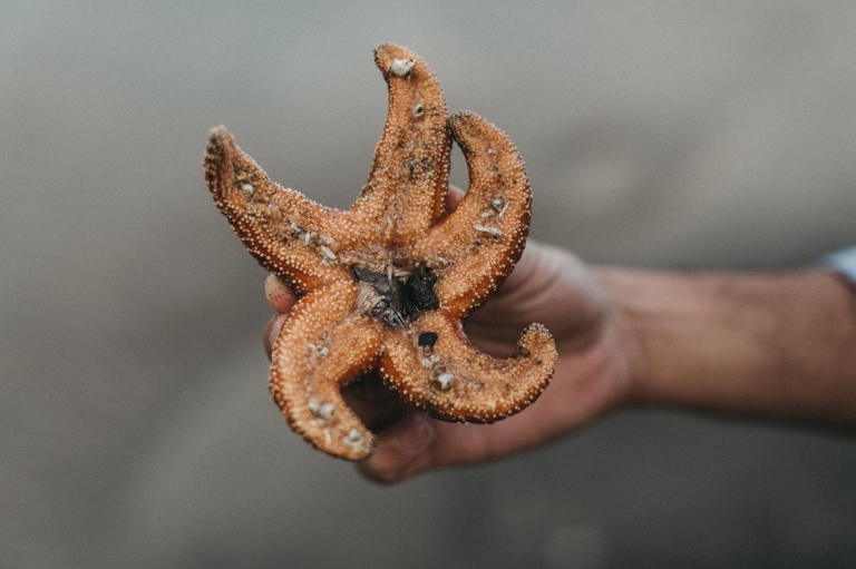 family photographer Portland OR