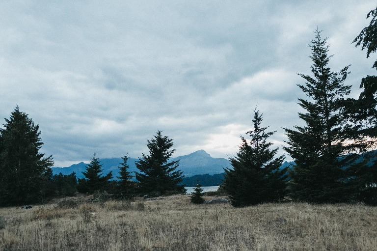 lifestyle family photographer Portland OR