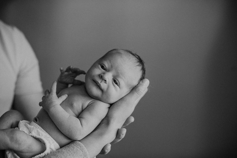 newborn photos portland