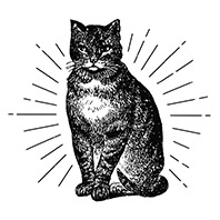 Cat png sticker, vintage animal illustration, transparent backgr