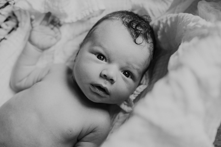 newborn photographer portland or