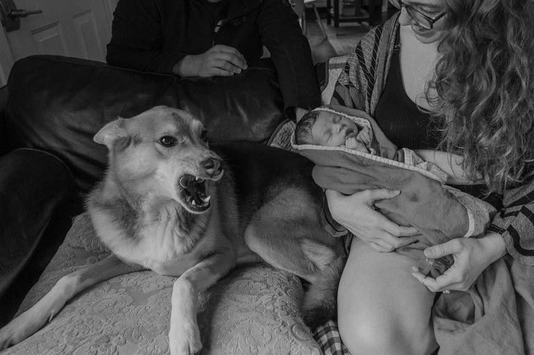 Portland Oregon fine art family photographer