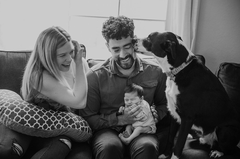 newborn photos portland
