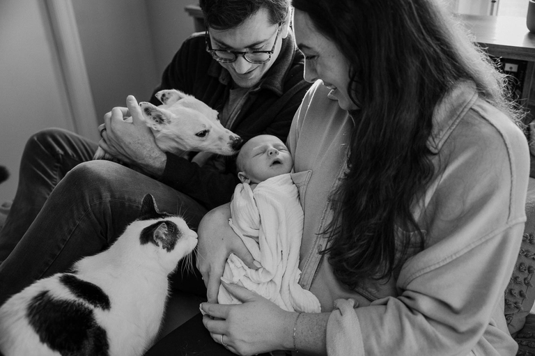 in home newborn photos portland or