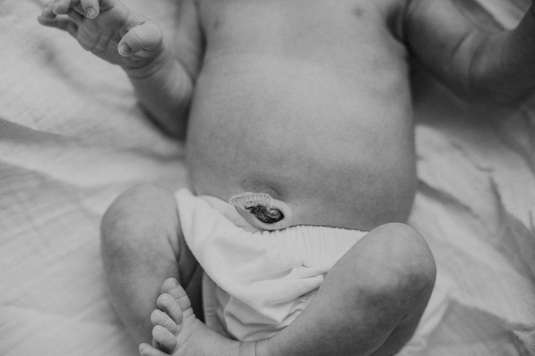 newborn photographer portland